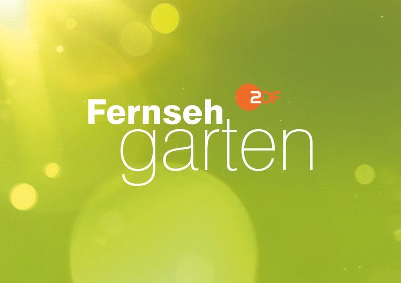 ZDF-Fernsehgarten 2026: Starttermin der neuen Saison jetzt bekannt!