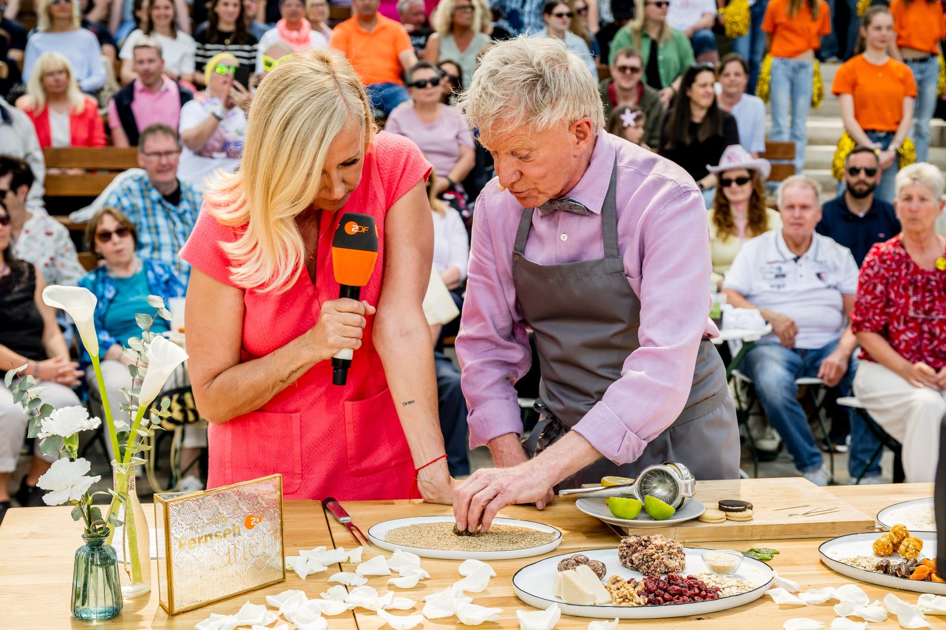 Zdf Fernsehgarten