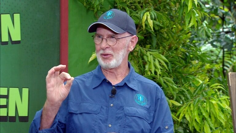 Dschungelcamp 2026: Dr. Bob traut nur DIESEM Kandidaten den Sieg zu!