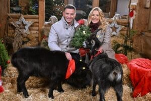 Weihnachten Auf Gut Aiderbichl