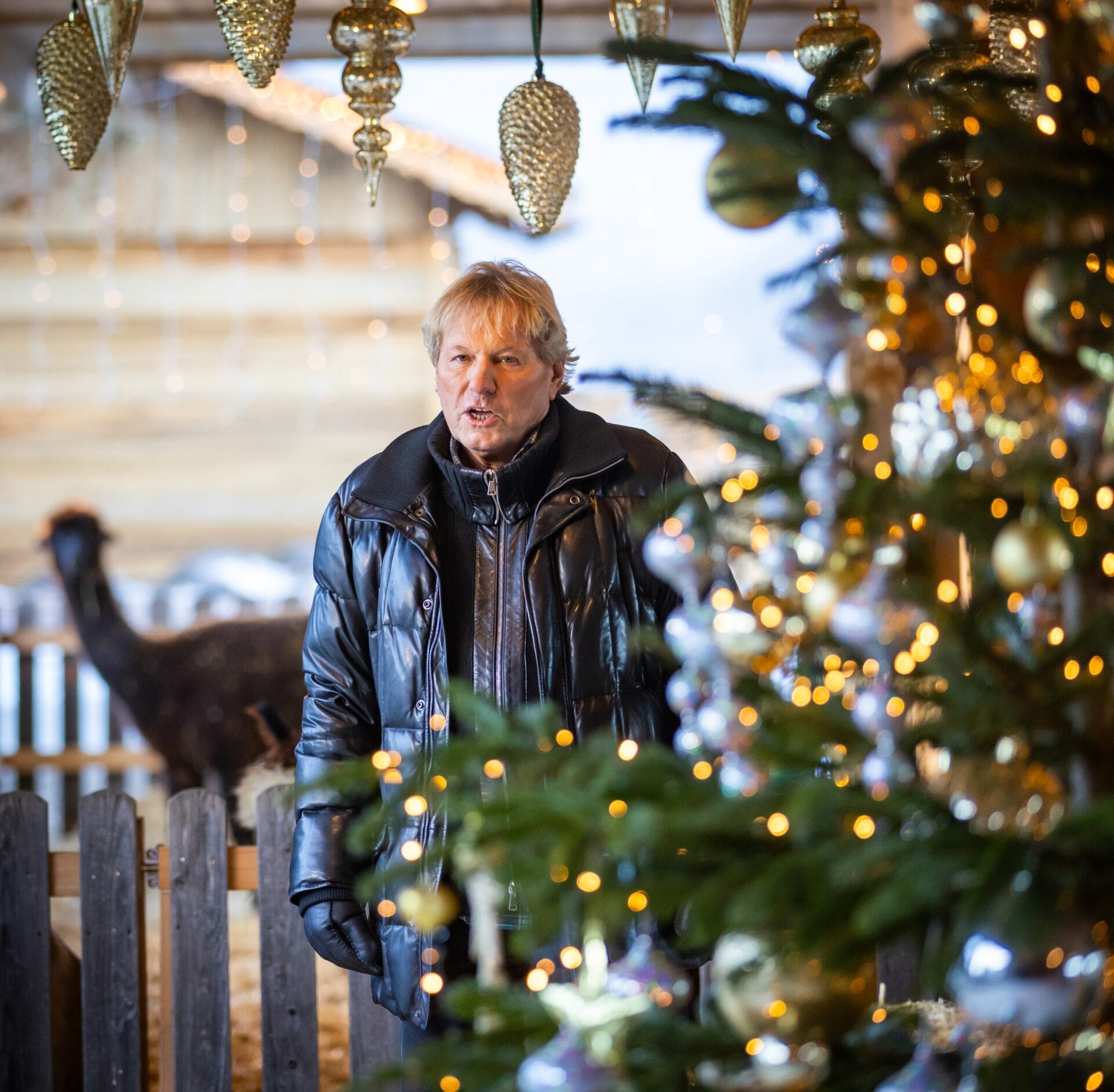 "Zauberhafte Weihnacht im Land der Stillen Nacht" 2024: Die schönsten Fotos aller Gäste